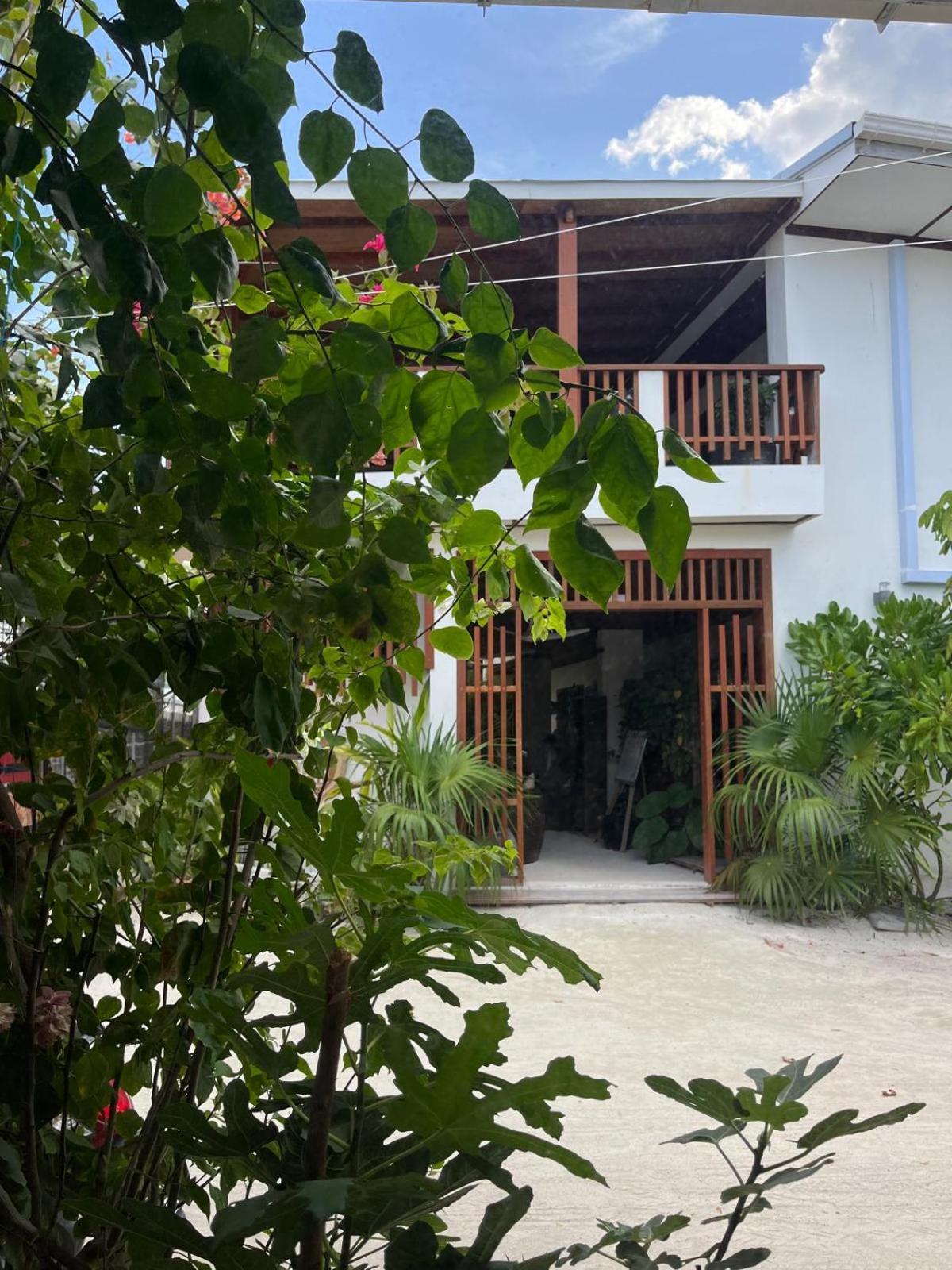 Ithaa Dhigurah - Feel Like Home Stay Extérieur photo